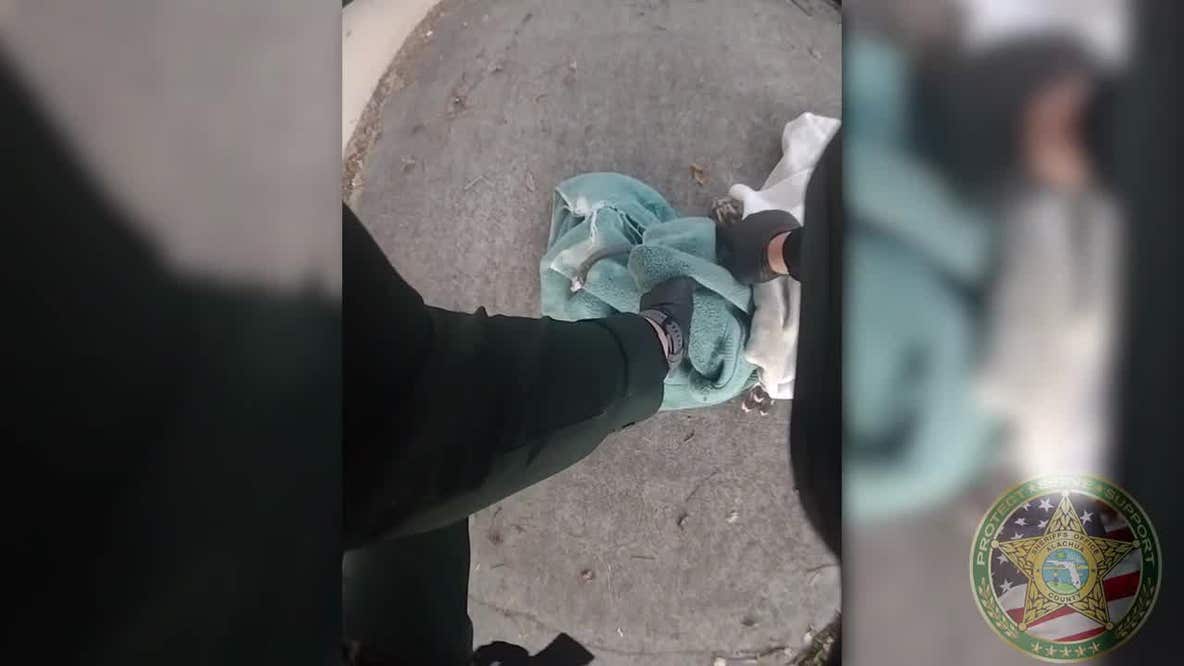 Deputy frees hawk from snake after would-be meal 'turned the tables'
